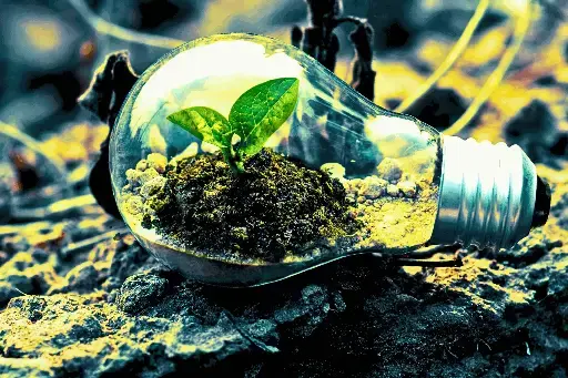 Expert studie-pack (20 momenten)